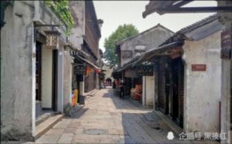 拯救小松鼠